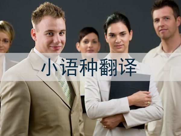 小语种翻译服务